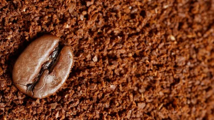 What is instant coffee? Where did it come from?
