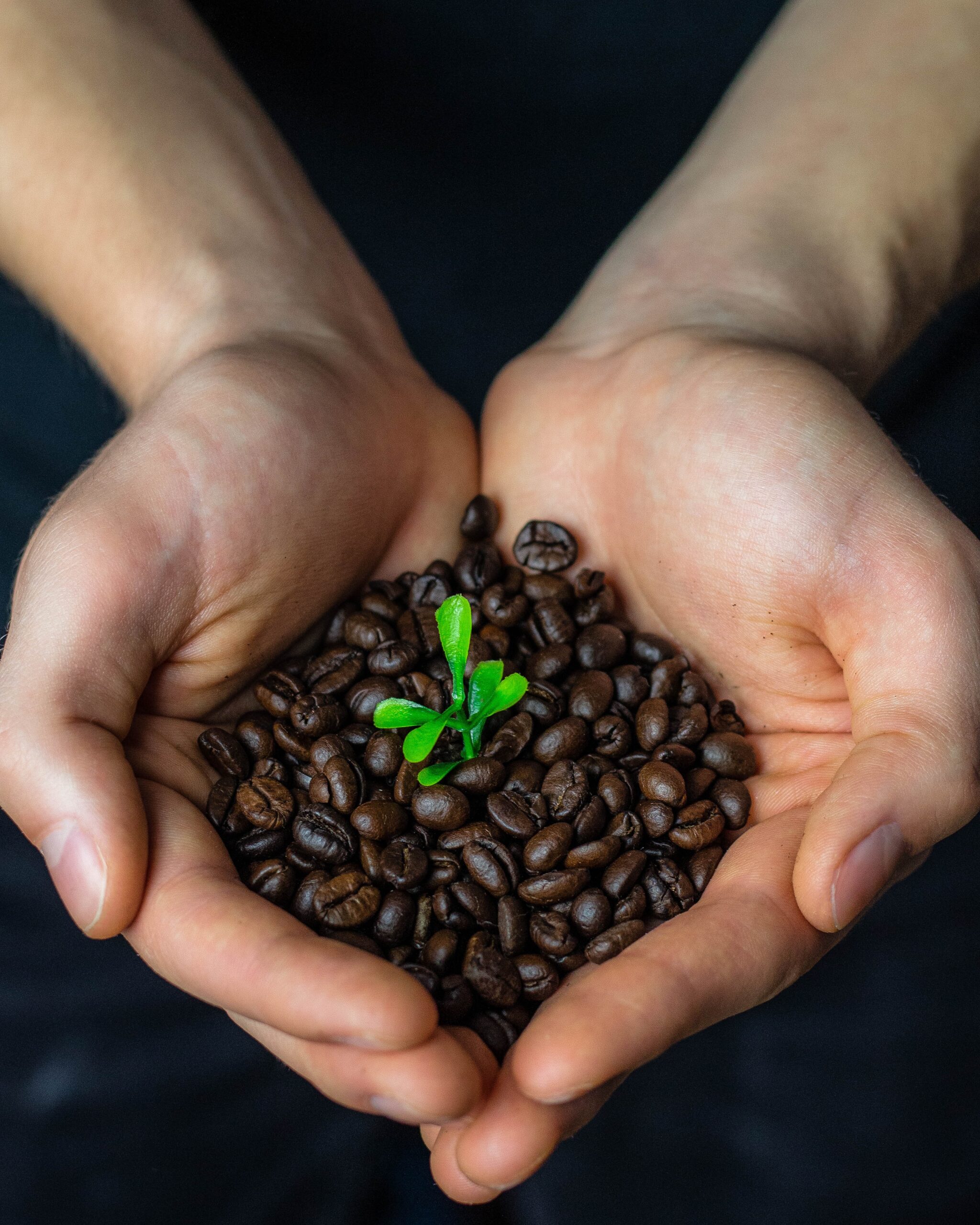Coffee With a Conscience: The 11 Best Fair Trade Coffee Picks of 2022