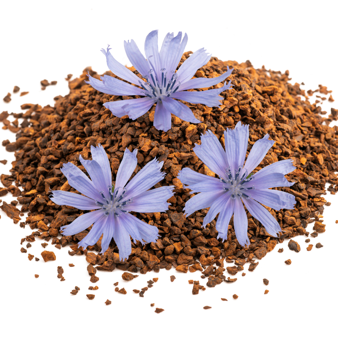 A picture of chicory coffee. The best chicory coffee. What it is and why you need to try it.