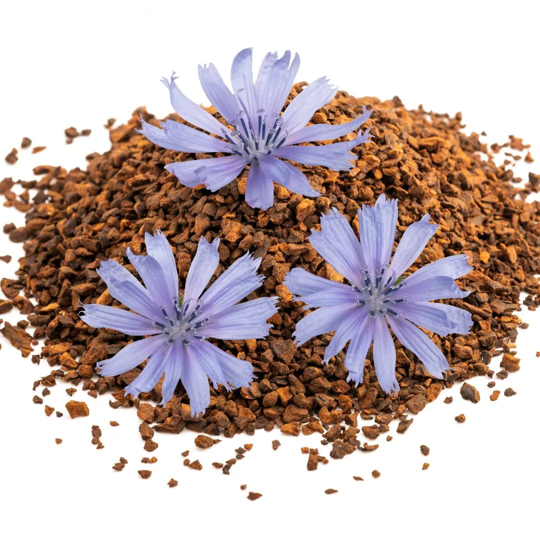 A picture of chicory coffee. The best chicory coffee. What it is and why you need to try it.