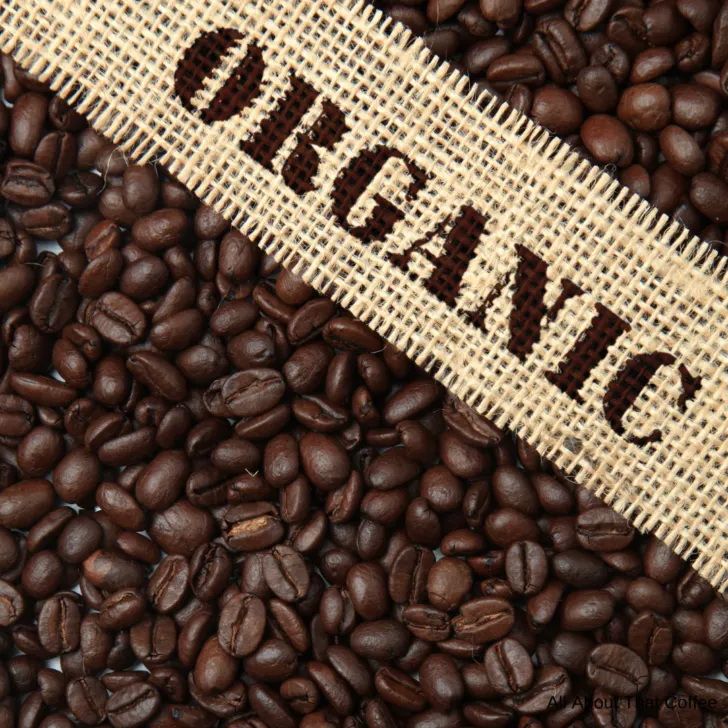 Organic Coffee vs Regular Coffee: What's the Difference?