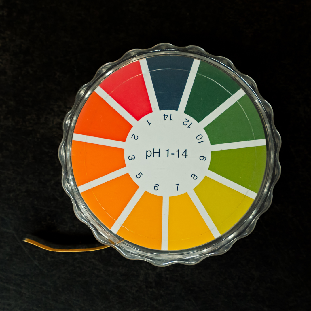 Image of pH test strip. The pH of coffee.